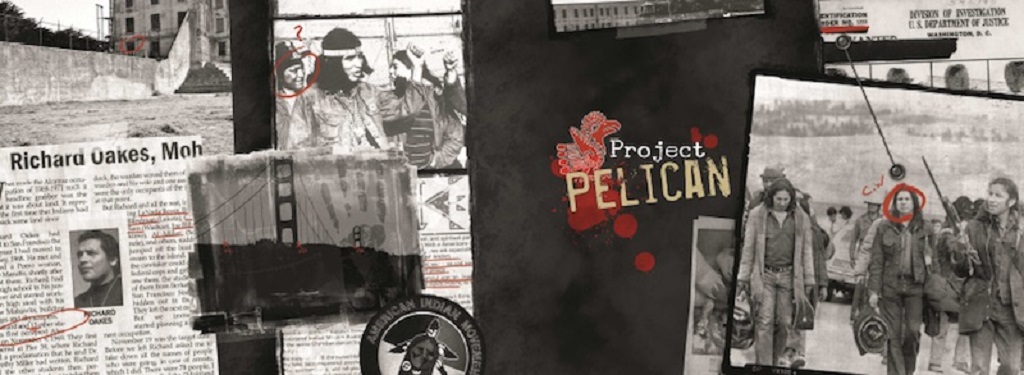 Project Pelican : Ecran